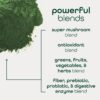 Sobres de super greens para nutrición diaria Zena Nutrition