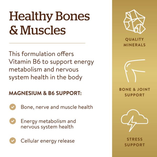 Version 1.0.0 Empaque estándar de Solgar