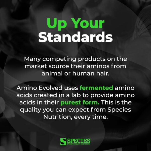 Frasco con sabor arándano azul de Amino Evolved BCAA Powder