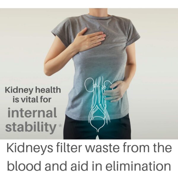 SpeedyVite suplemento renal gotero vidrio transparente