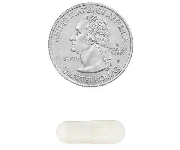 Version 1.0.0 Lista de ingredientes en etiqueta