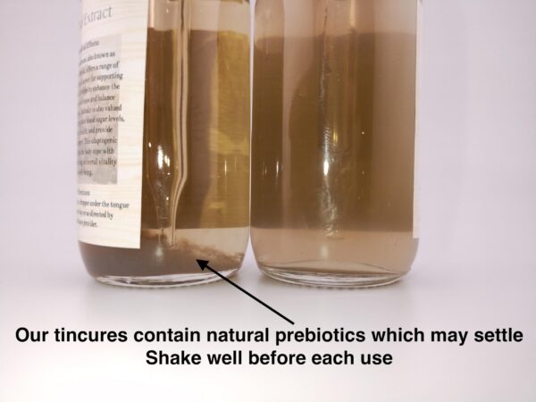 Stajcar Stoneworks Tintura de Hongo Maitake Orgánico mostrando claridad