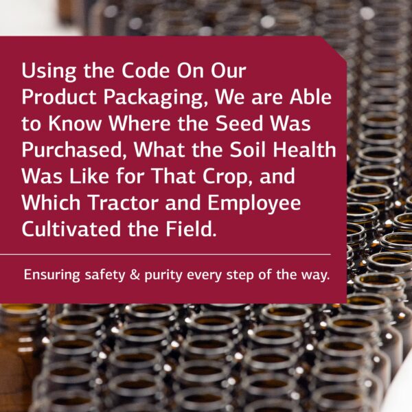 Standard Process Inc. ácido fólico B12 suplemento de alta calidad