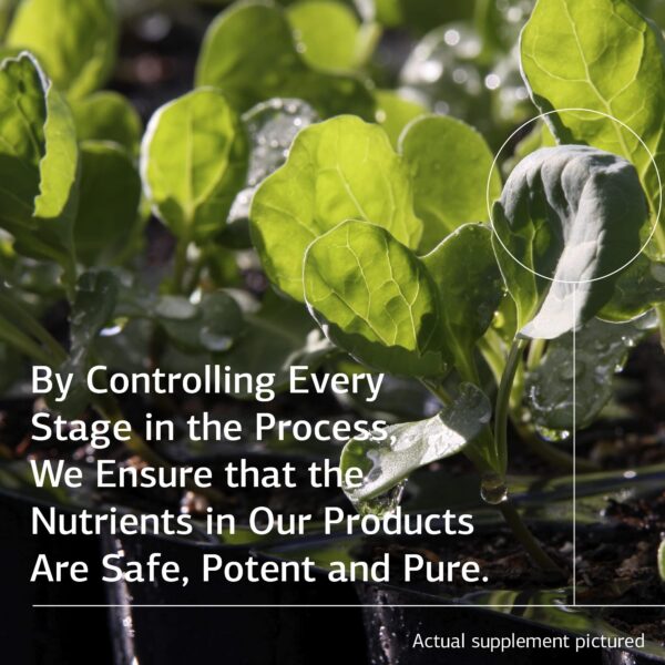 Sin gluten, sin lácteos y sin soja