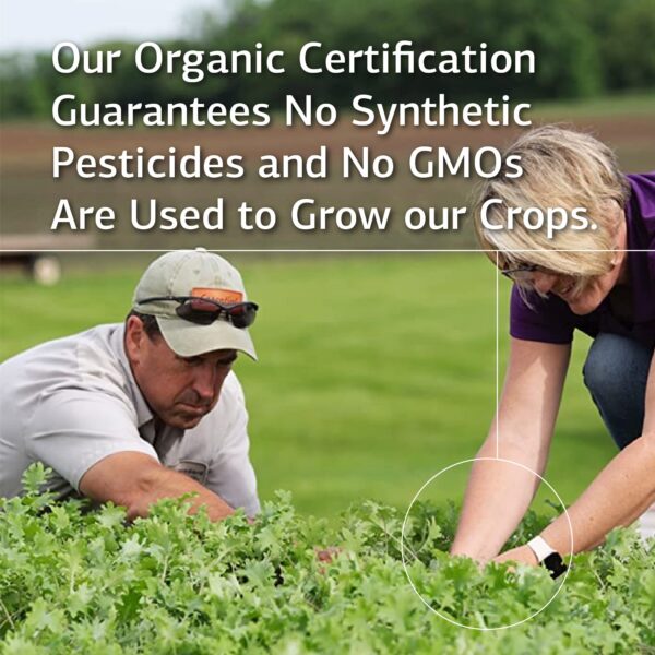 Livaplex Standard Process mostrando ingredientes