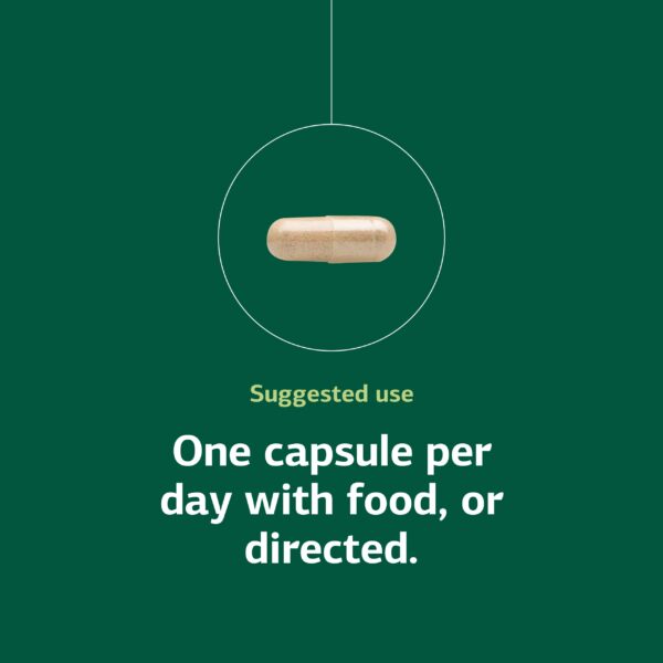 Version 1.0.0 Información del producto Ferrofood