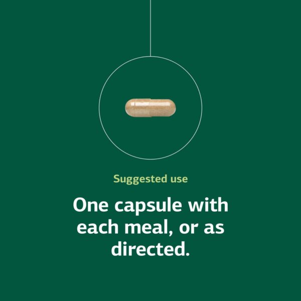 Detalle de ingredientes de Standard Process for-Til B12