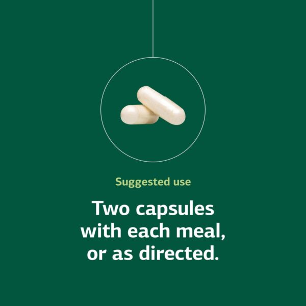 Caja y lote de Lact-ENZ