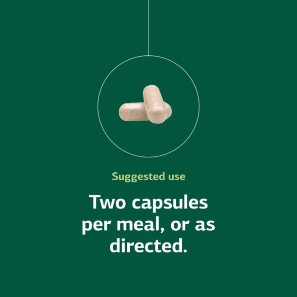 Version 1.0.0 Lista de ingredientes Ligaplex I