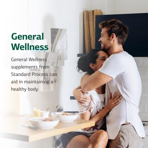 Logotipo de Standard Process