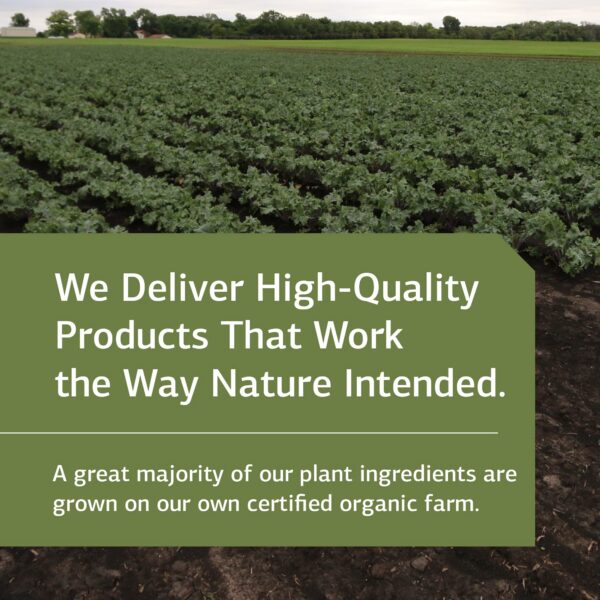 Cápsulas Hierba de San Juan Standard Process apoyo relajación