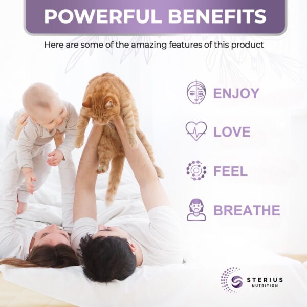 Version 1.0.0 Imagen de producto en detalle