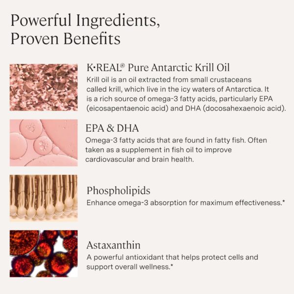 Version 1.0.0 Frasco Krill Oil en estante