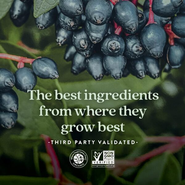 Suministro New Chapter gomitas saludables para niños 60 unidades