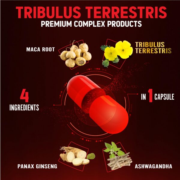 Suministro suplemento Zolotus para 6 meses