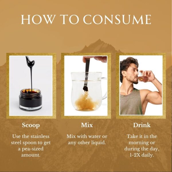 Dosis por porción Shilajit 200 mg