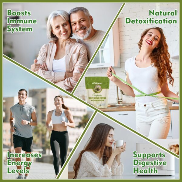 Superalimento natural ATNreuro polvo de césped de cebada