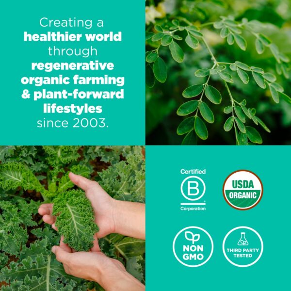 Superfood+ mezcla verde vegana para nutrición y detox