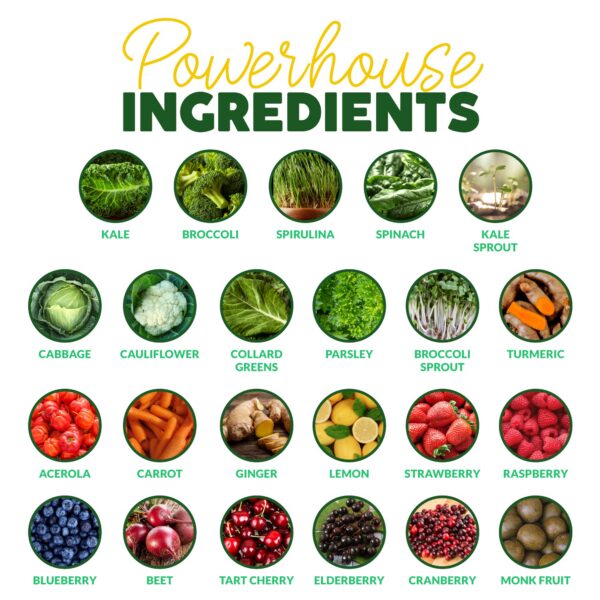 Supergreens Paleovalley polvo sin cereales para mejor absorción