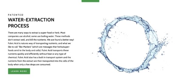 Superior Ginseng botella de extracto concentrado 2oz adaptógeno orgánico