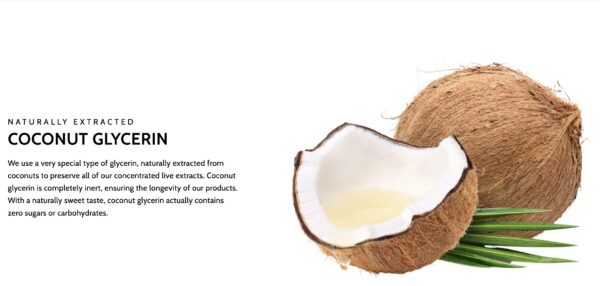 Superior Ginseng extracto adaptógeno para longevidad y vitalidad