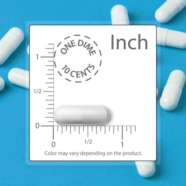 Version 1.0.0 Vista lateral del envase