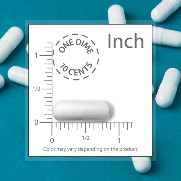 Version 1.0.0 Ingredientes y notas del producto