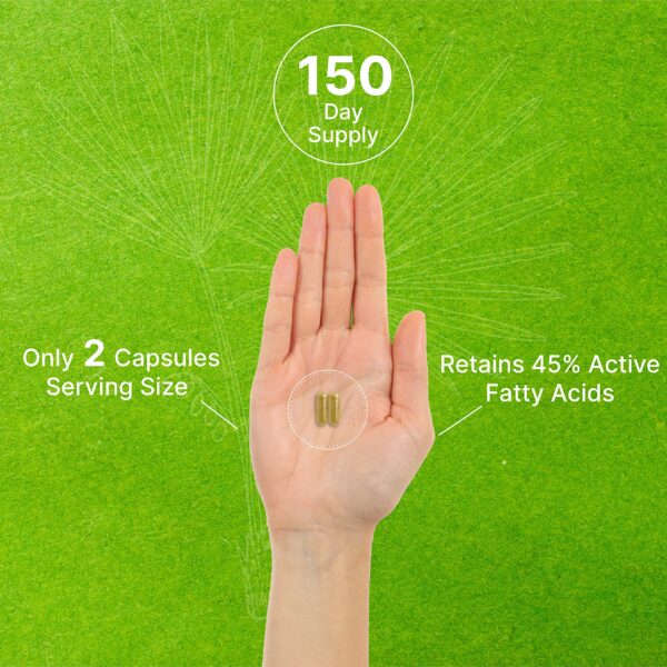 Suplemento 2 en 1 saw palmetto y semilla de calabaza para hombres y mujeres