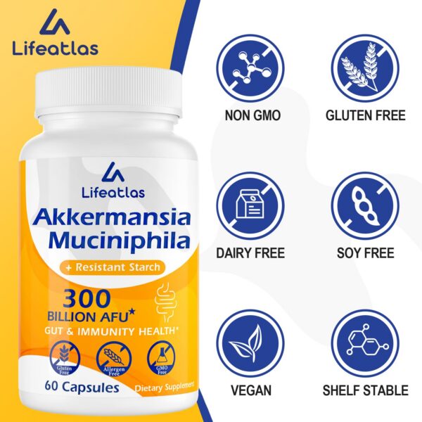 Suplemento 6 en 1 Akkermansia y vitaminas para salud digestiva