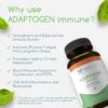 Suplemento Adaptogen Immune fórmula natural y equilibrada