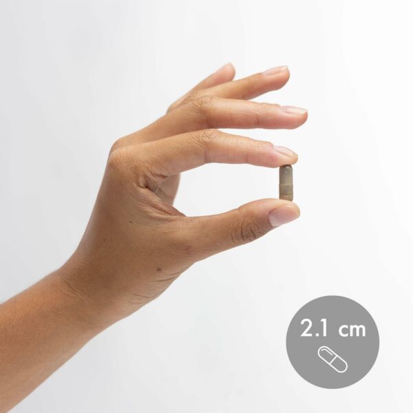 Suplemento ajo negro fermentado para salud celular