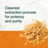 Suplemento alimenticio de cordyceps con alfa-glucano