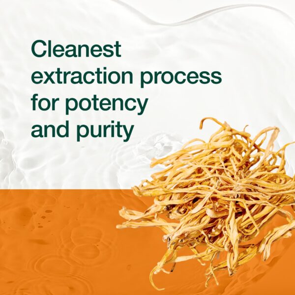 Suplemento alimenticio de cordyceps con alfa-glucano