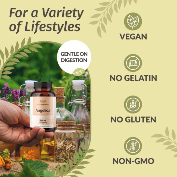 Suplemento antioxidante de raíz de angélica Herbamama