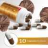 Suplemento antioxidante Reishi Vita Green en cápsulas 10 unidades