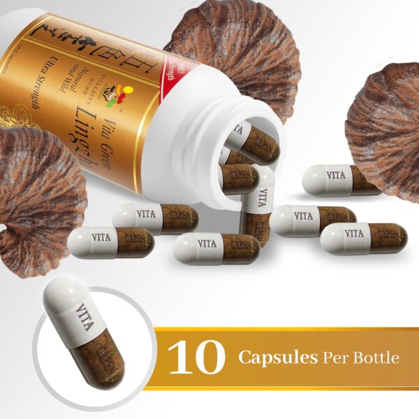 Suplemento antioxidante Reishi Vita Green en cápsulas 10 unidades