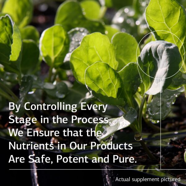 Standard Process Catalyn suplemento multivitamínico 360 tabletas