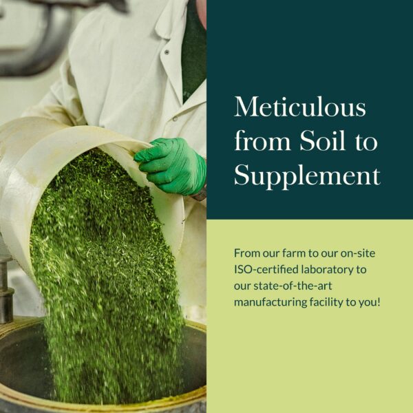 Spray para garganta con equinácea y goldenseal Gaia Herbs