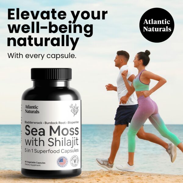 Suplemento Atlantic Naturals absorción mejorada 5 ingredientes