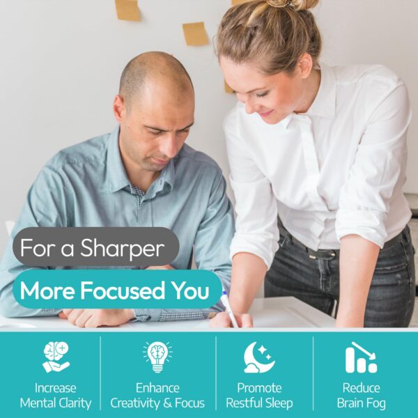 Suplemento avanzado Lion’s Mane para concentración y regeneración cerebral