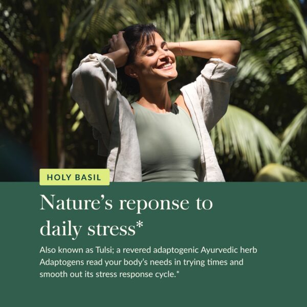 Suplemento ayurvédico Gaia Herbs albahaca para equilibrio mental