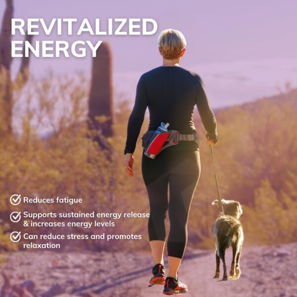 Version 1.0.0 Suplemento b1 HEALTH BY PRINCIPLE caja y frasco