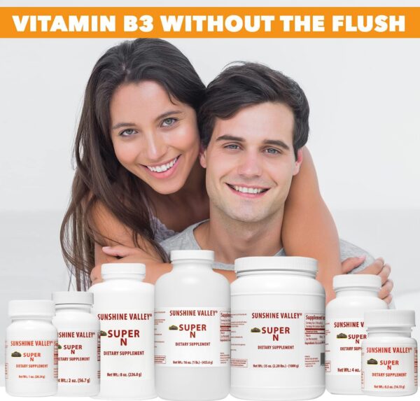 Suplemento b3 polvo para energía digestión piel sana 35 onzas