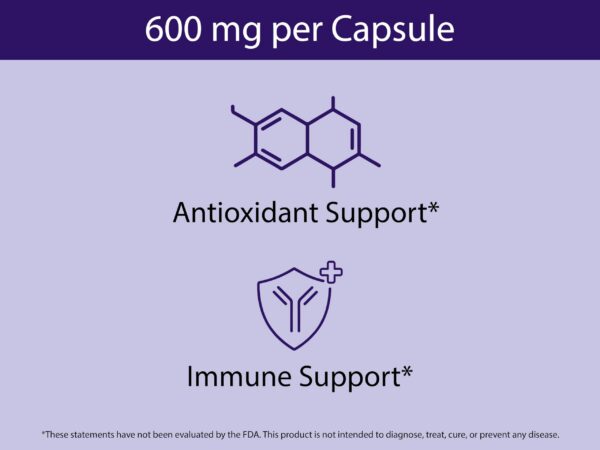 Version 1.0.0 Suplemento de bayas 100% naturales KOYAH cápsulas orgánicas