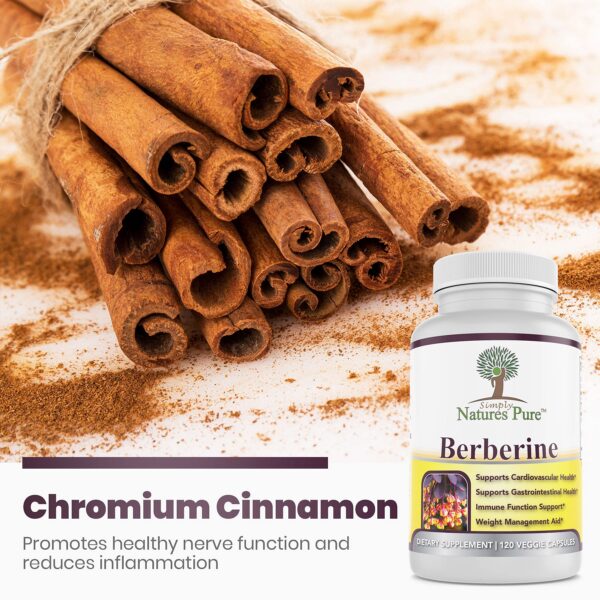 Version 1.0.0 Suplemento Berberina Simply Natures Pure apoyo sistema inmunitario