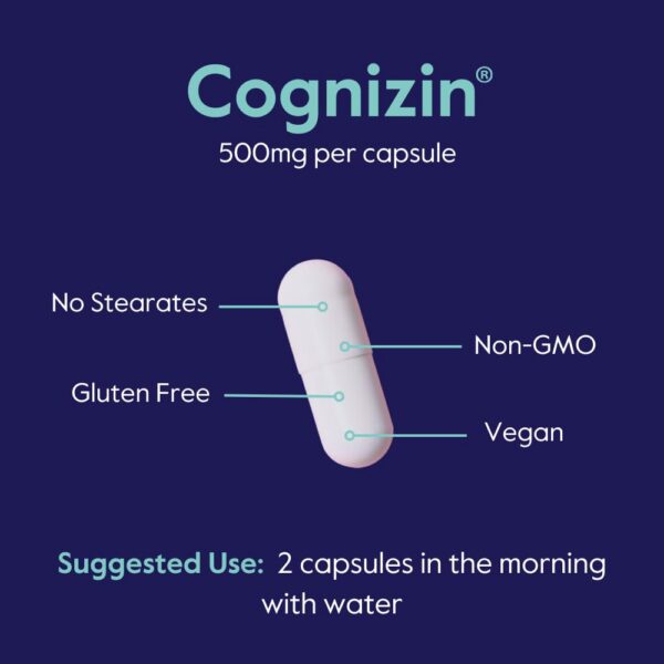 Suplemento BESTVITE Cognizin planta producto