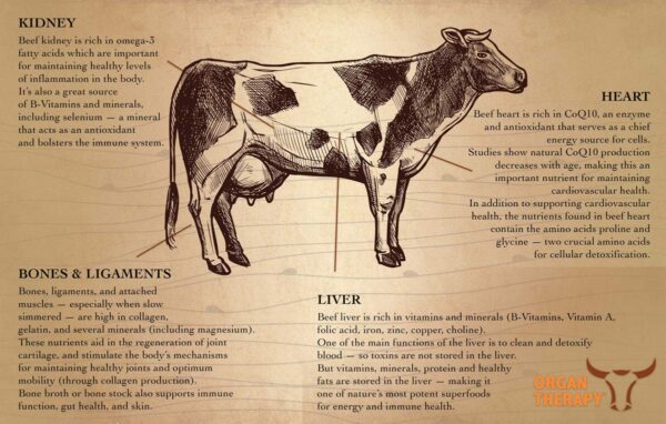 Suplemento con BioPerine para mejor absorción de nutrientes