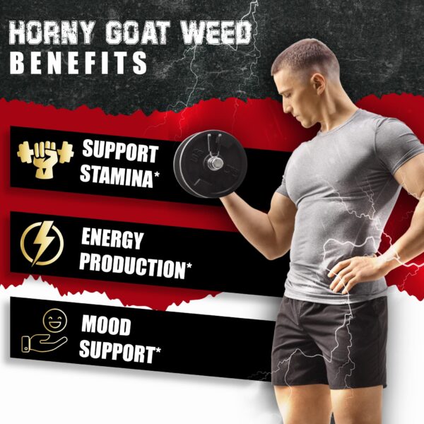 Suplemento BMVINVOL Horny Goat Weed para soporte sexual y vitalidad