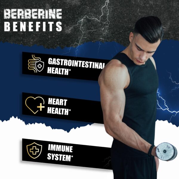 Suplemento BMVINVOL ingredientes para salud integral