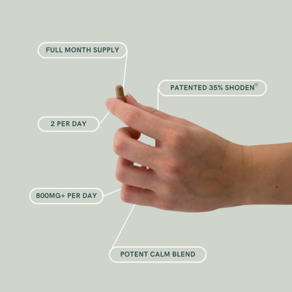 Version 1.0.0 Suplemento BUZzz ashwagandha propóleo sueño tranquilo Dr Sosnowski's